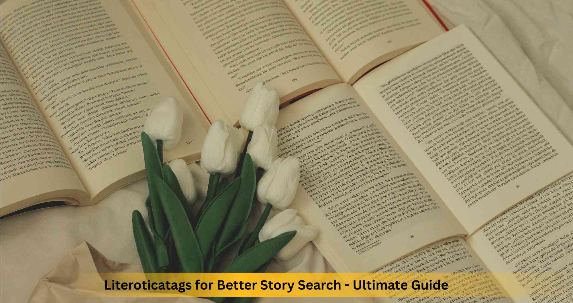Literoticatags