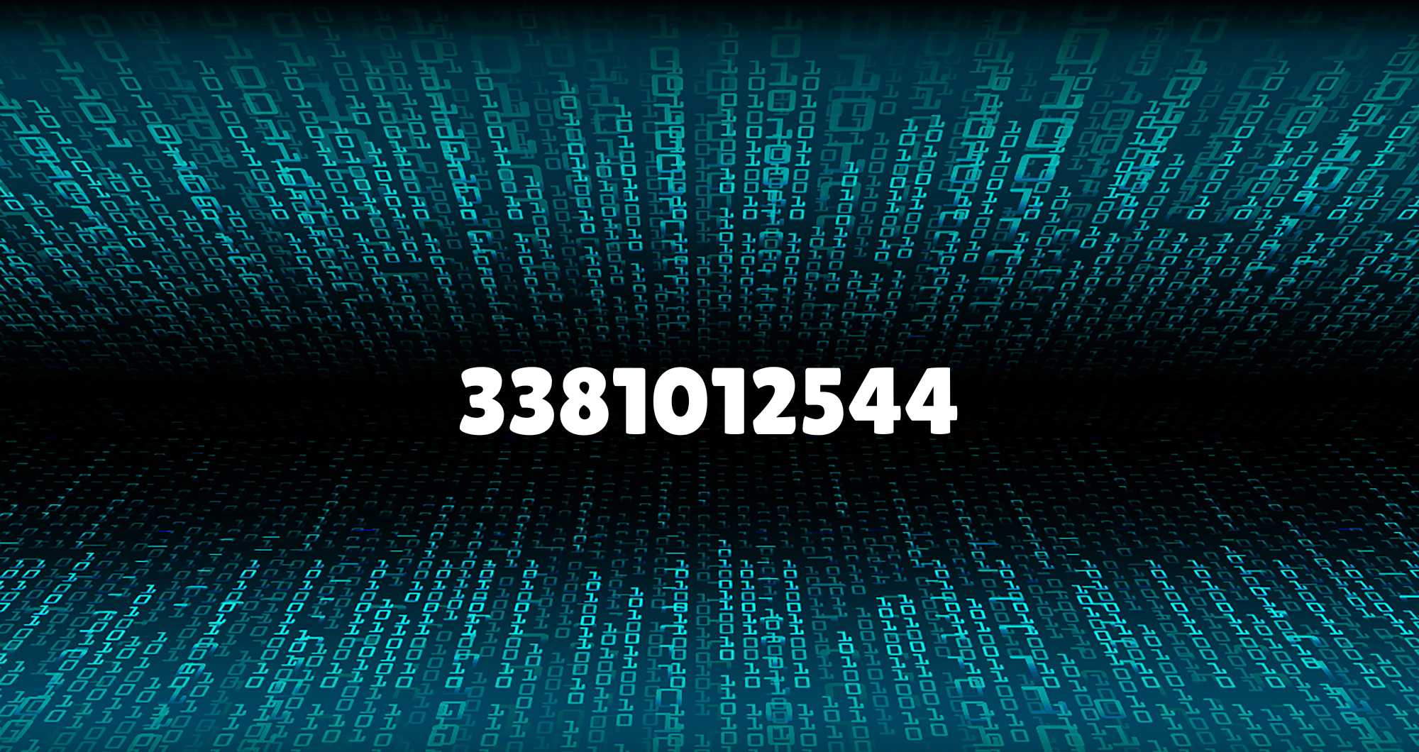 What Is 3381012544? Full Guide & Meaning