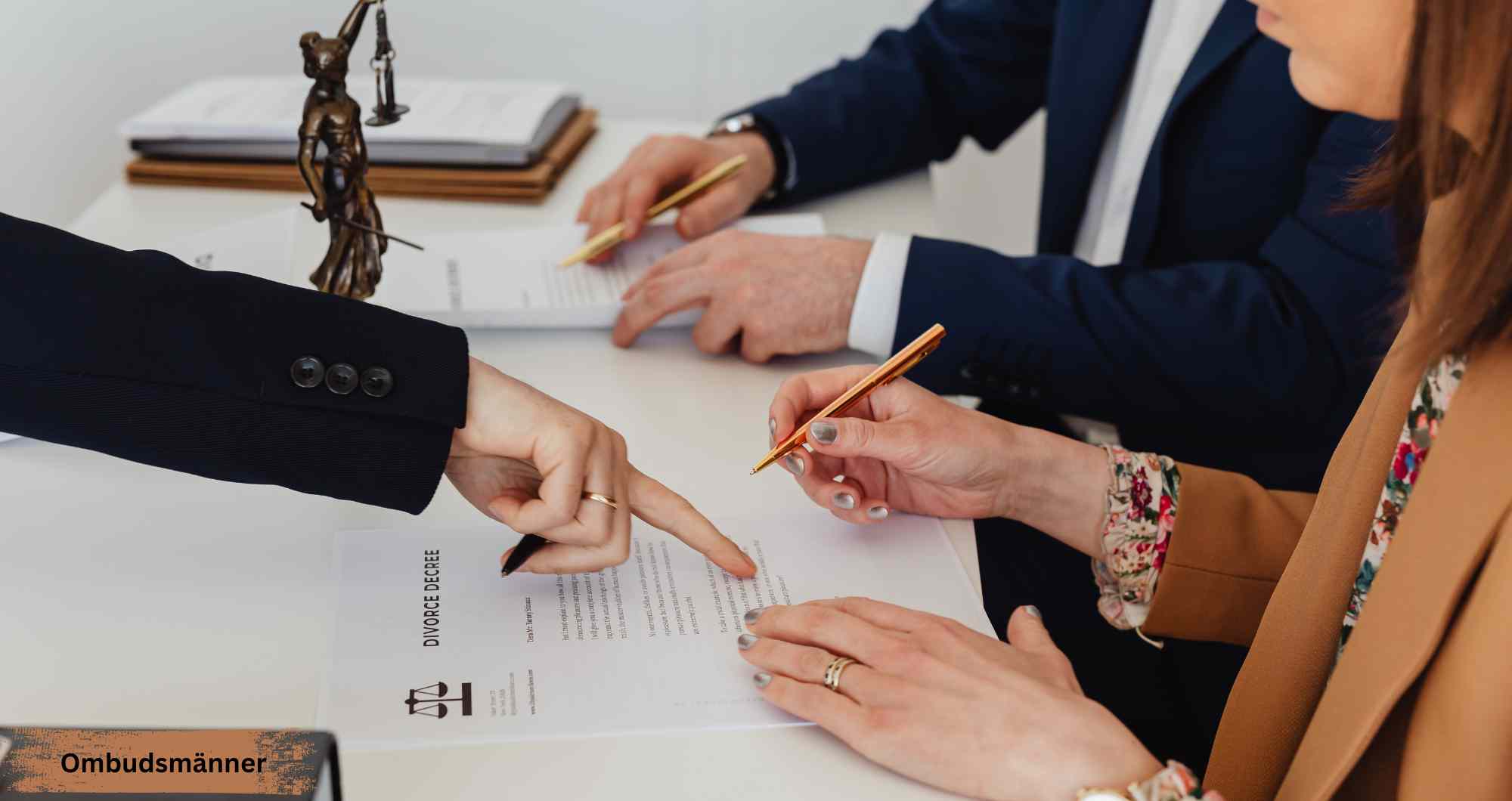 Ombudsmänner: Roles, Rights & Complaint Resolution