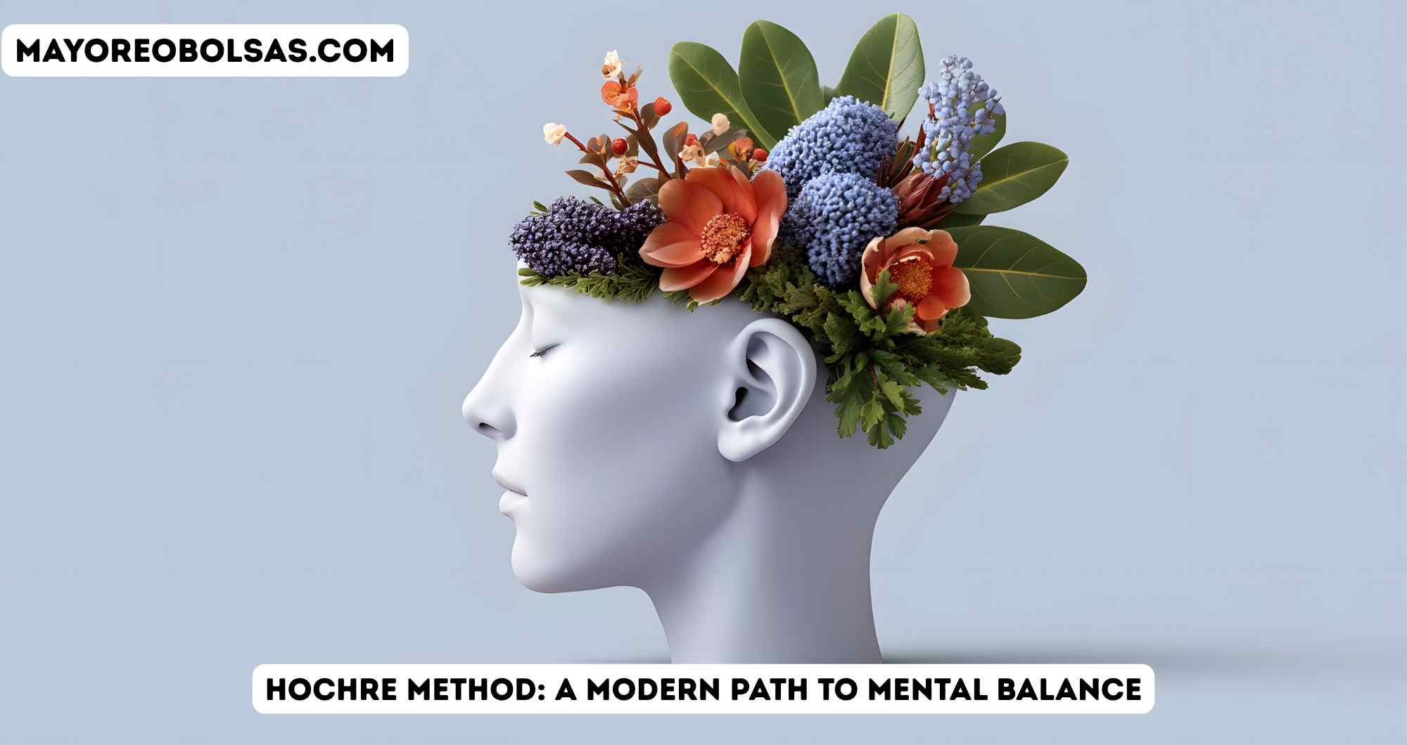 Hochre Method: A Modern Path to Mental Balance